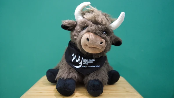 Buffalo plushie item in school store at wuhan yangtze international school.